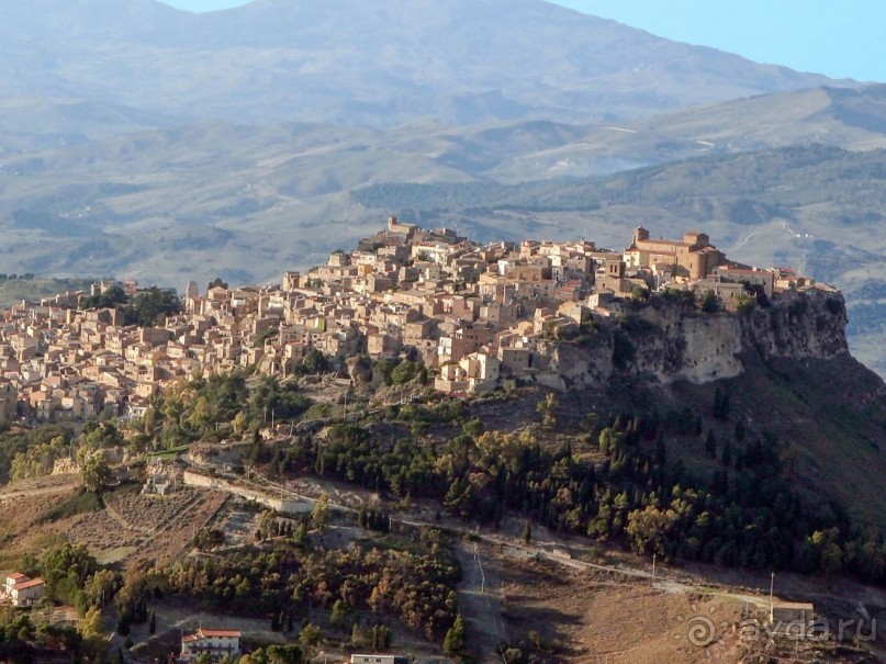 Сицилийский пупок