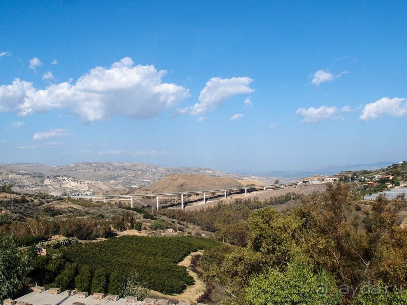 Сицилийский пупок