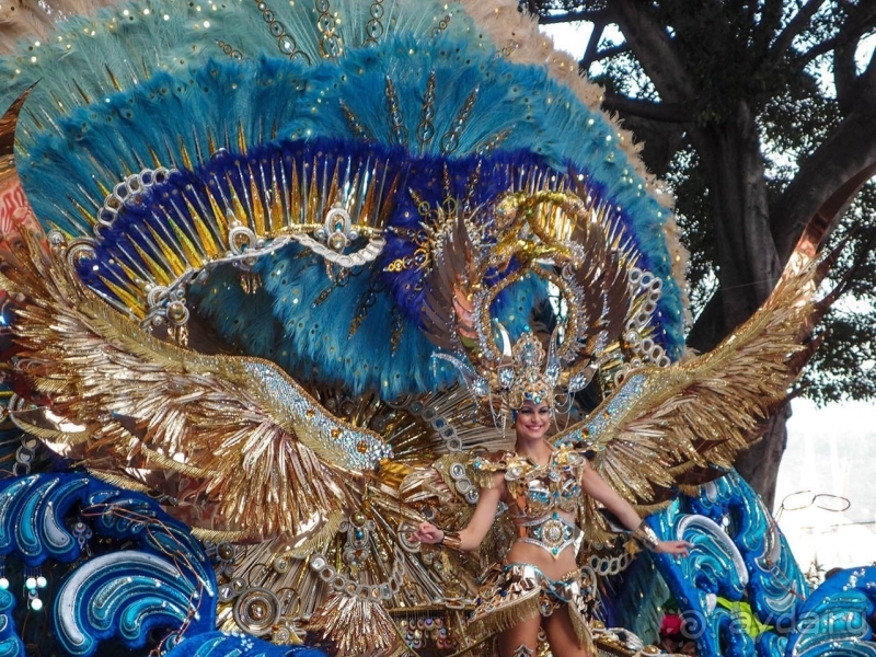 Альбом истории "Карнавал «Фантазия» на Тенерифе"