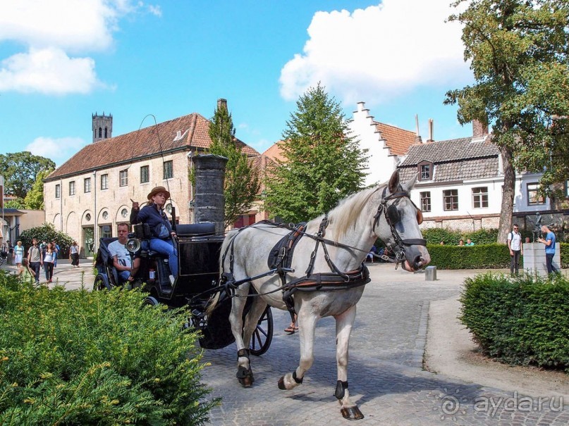 Старинная музыка Брюгге