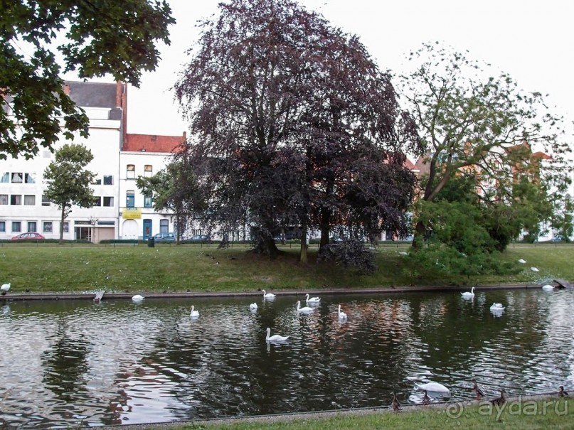 Старинная музыка Брюгге