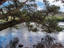 В плену неласкового края