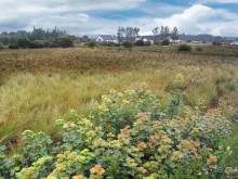 В плену неласкового края