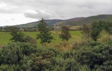 В плену неласкового края