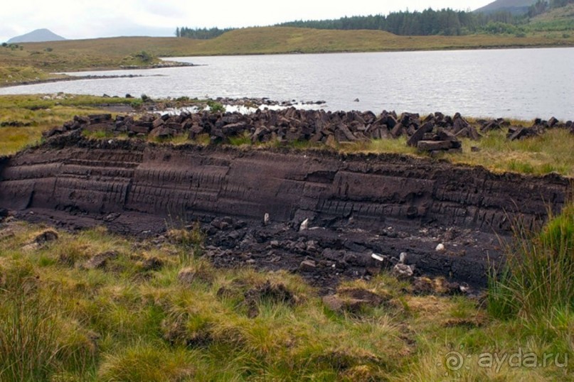 В плену неласкового края