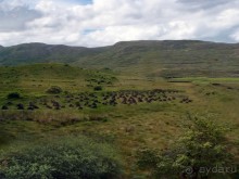 В плену неласкового края