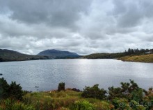 В плену неласкового края