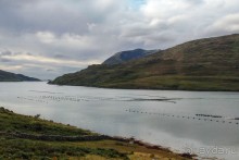 В плену неласкового края