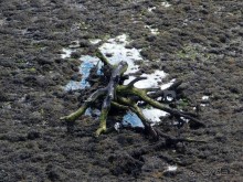 В плену неласкового края