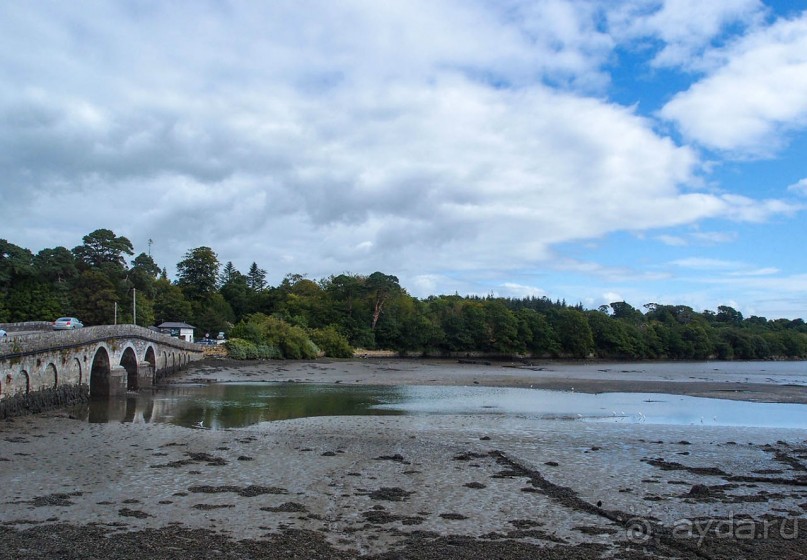 В плену неласкового края