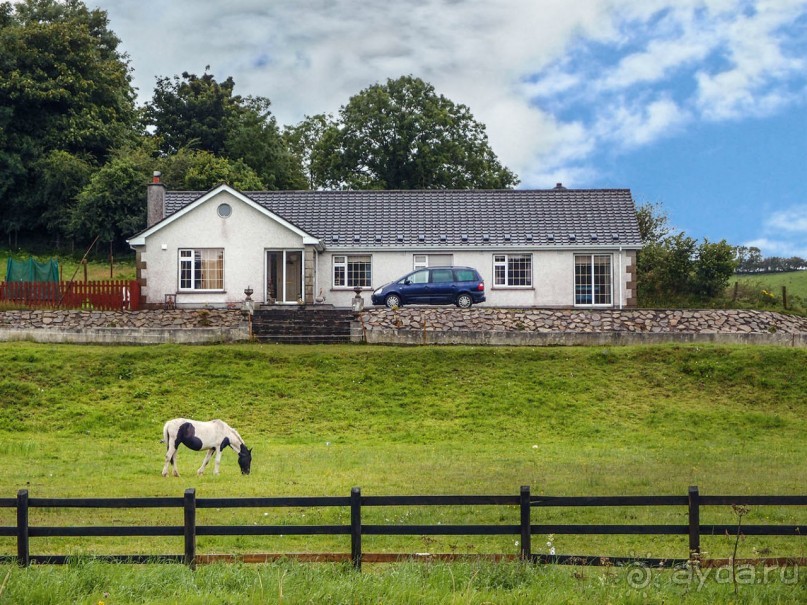 В плену неласкового края