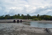 В плену неласкового края