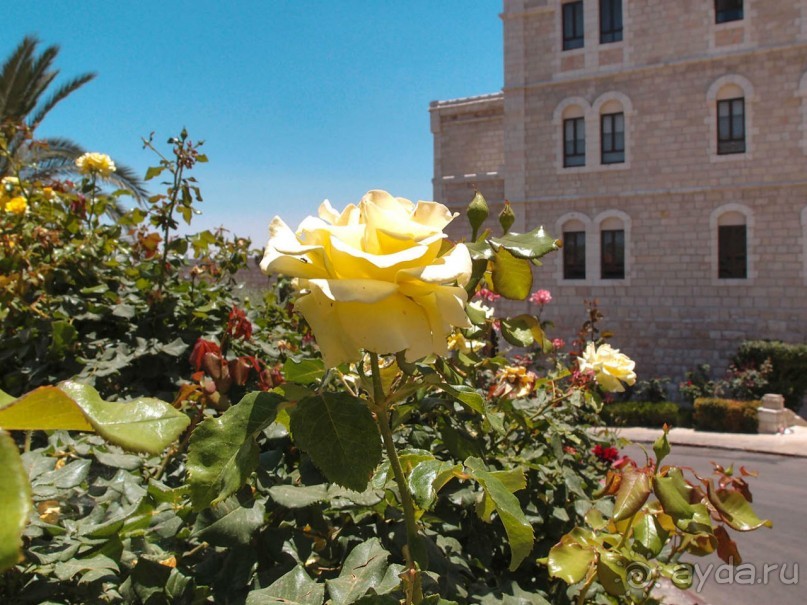 У Новых ворот