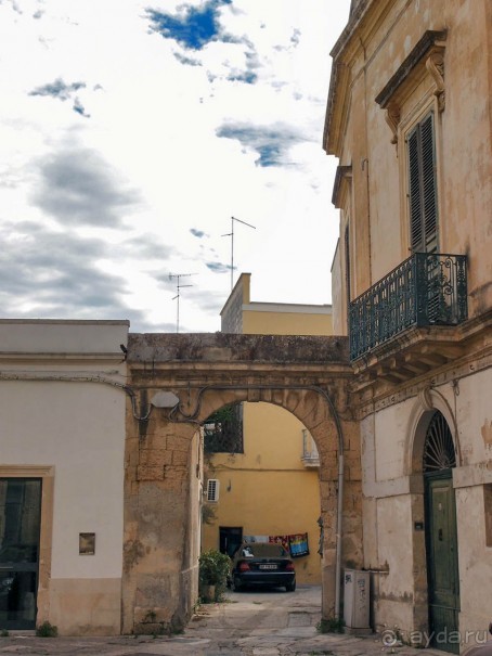 Медовый Лечче