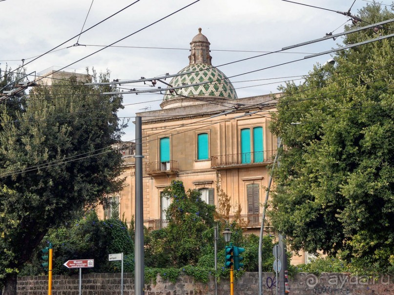 Медовый Лечче