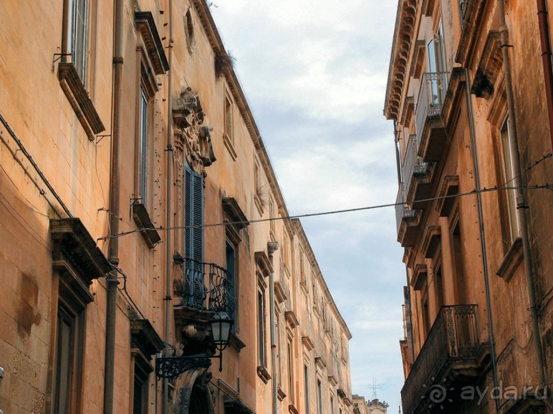 Медовый Лечче