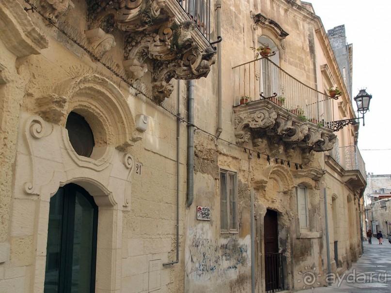 Медовый Лечче