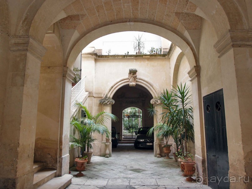 Медовый Лечче