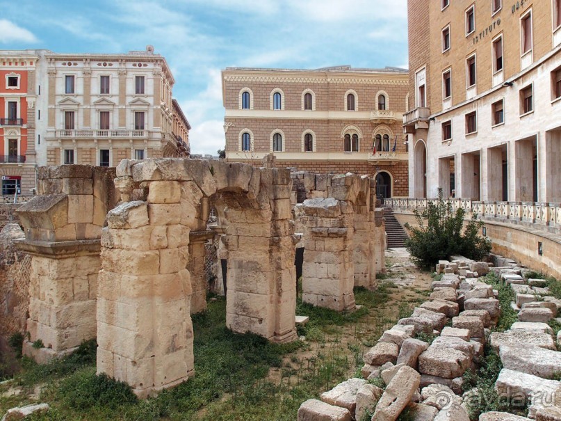 Медовый Лечче