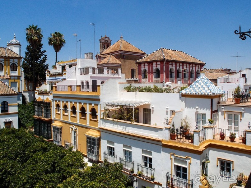 Альбом отзыва "В квартале Санта-Крус"