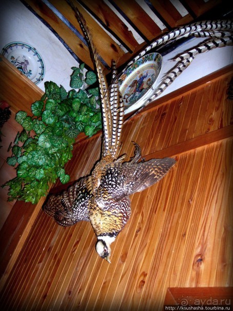 Охотничья тема Конопиште