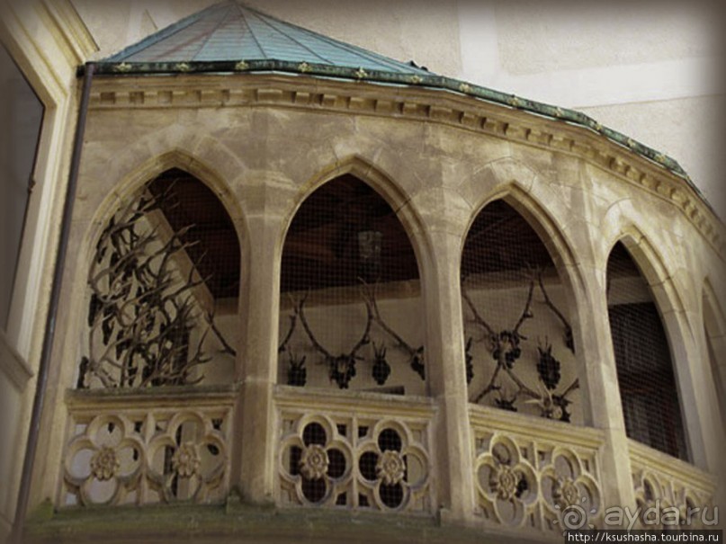 Охотничья тема Конопиште