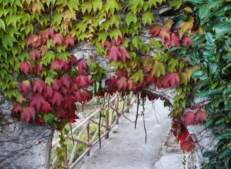 Вилла Руфоло