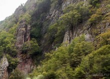 Трижды Маврово