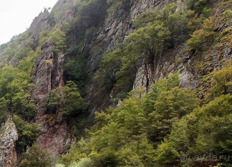 Трижды Маврово