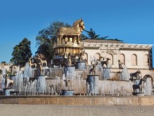 Кони из прошлого