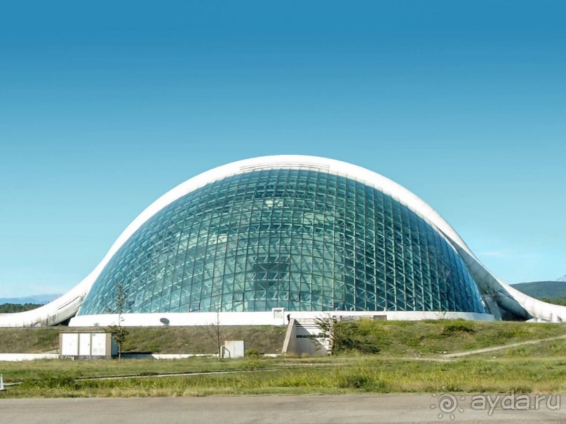 Кони из прошлого