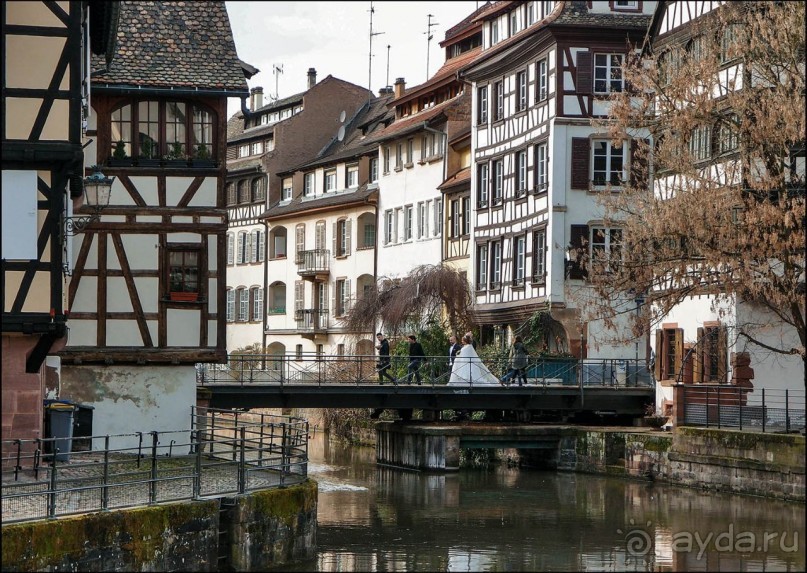 Фазаний мост, Бельевая веревка и многое ещё...