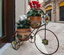 "Старая Бари" и не только (ч.2)