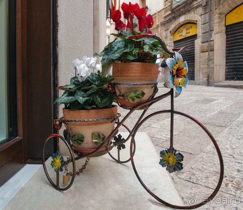 "Старая Бари" и не только (ч.2)