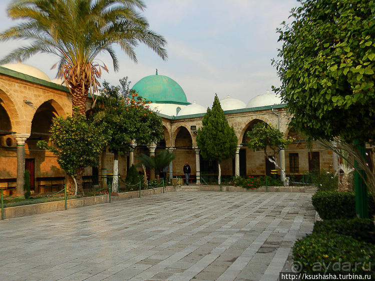 Самая красивая синагога и самая большая мечеть