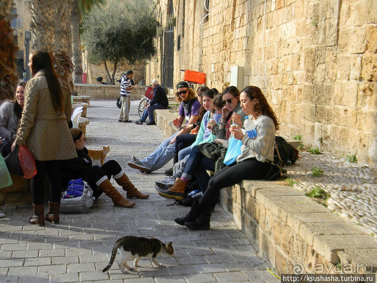 Самая красивая синагога и самая большая мечеть