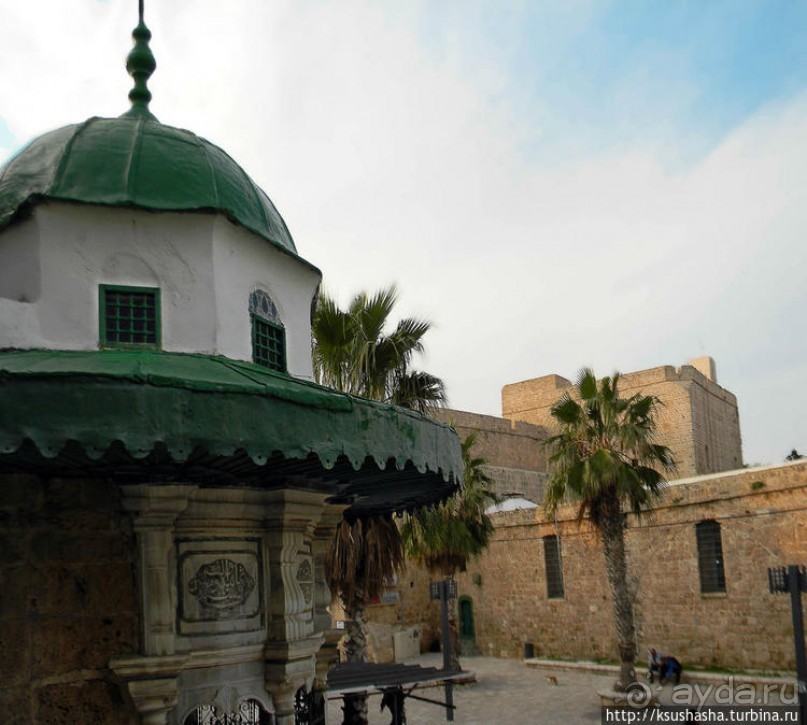 Самая красивая синагога и самая большая мечеть