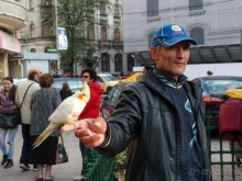 Старый Бухарест. Милый сердцу уголок