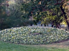 Старый Бухарест. Милый сердцу уголок