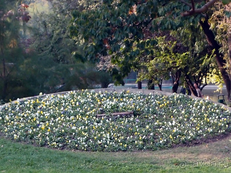 Старый Бухарест. Милый сердцу уголок