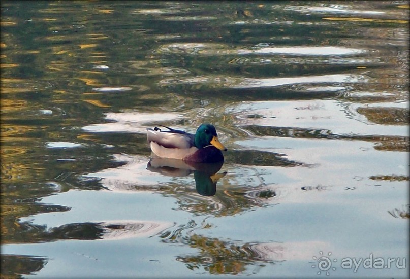 Старый Бухарест. Милый сердцу уголок