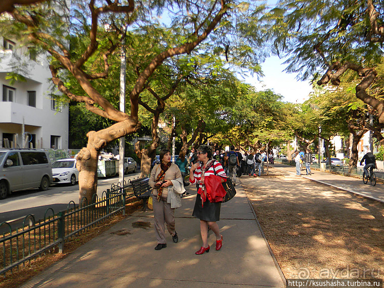 Эклектика и баухаус на бульваре Ротшильда