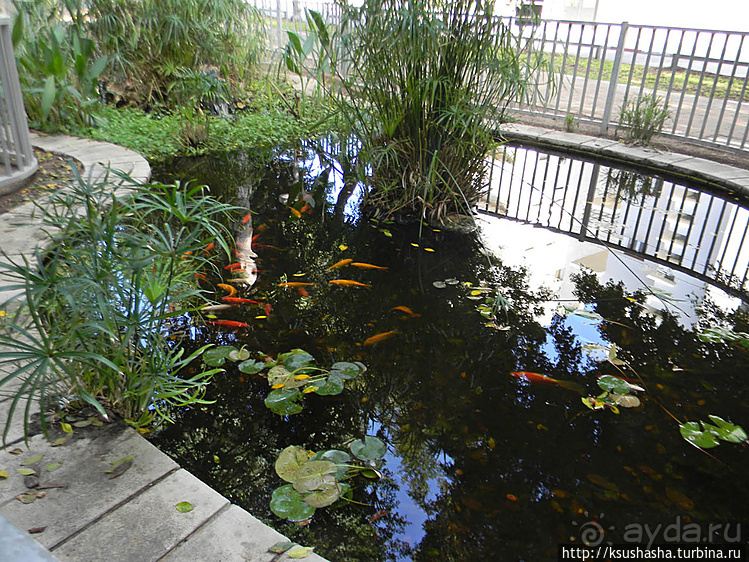 Эклектика и баухаус на бульваре Ротшильда