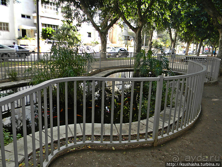 Эклектика и баухаус на бульваре Ротшильда