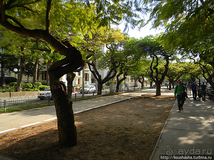 Эклектика и баухаус на бульваре Ротшильда