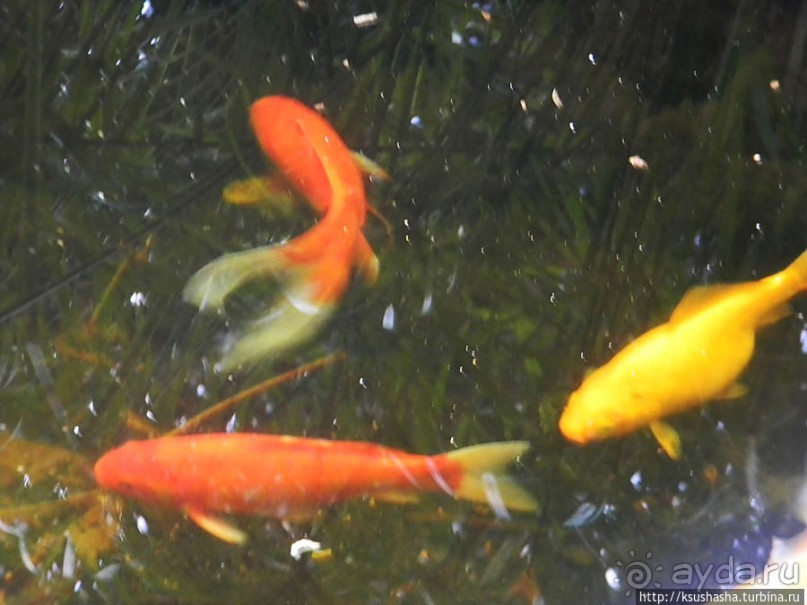 Эклектика и баухаус на бульваре Ротшильда