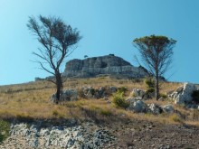 В сладкой глазури Горький миндаль