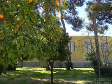 Альбом отзыва "Первый Олимпийский дворец рядом с храмом Зевса Олимпийского"