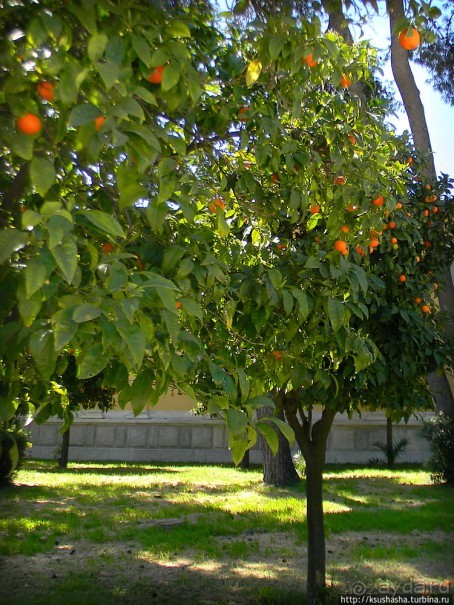 Первый Олимпийский дворец рядом с храмом Зевса Олимпийского