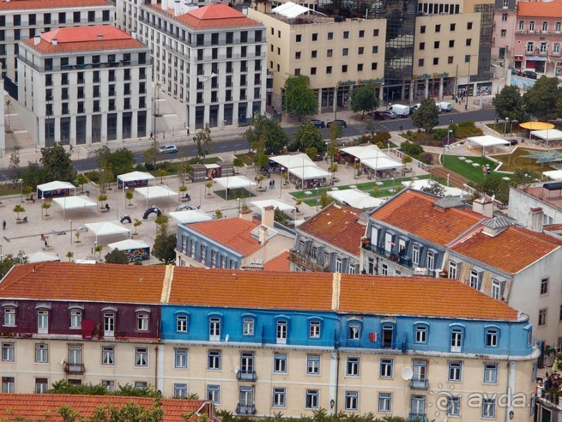 Танец павлина